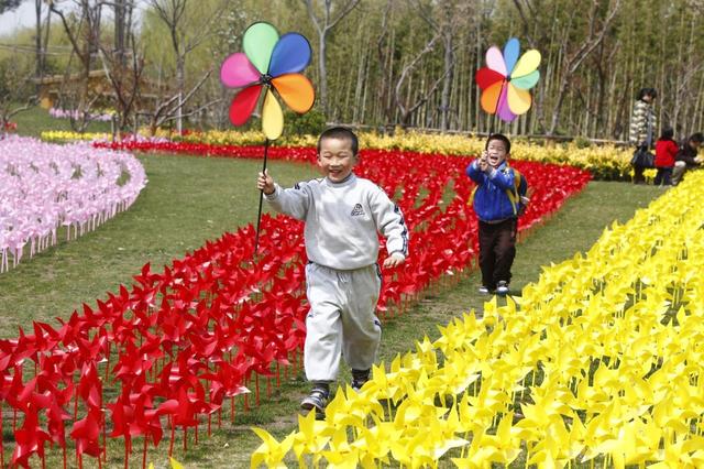 万只风车空降观音山，带你徜徉五彩风车海洋！