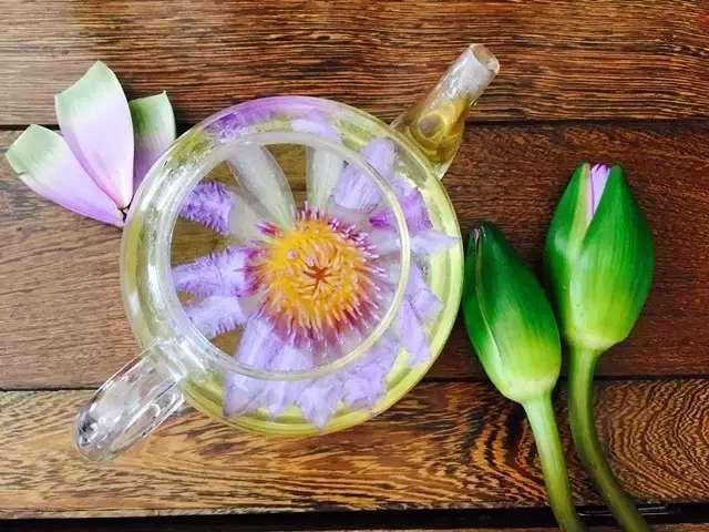 发现东莞有个很有意思的地方，清明出游一起约吗？