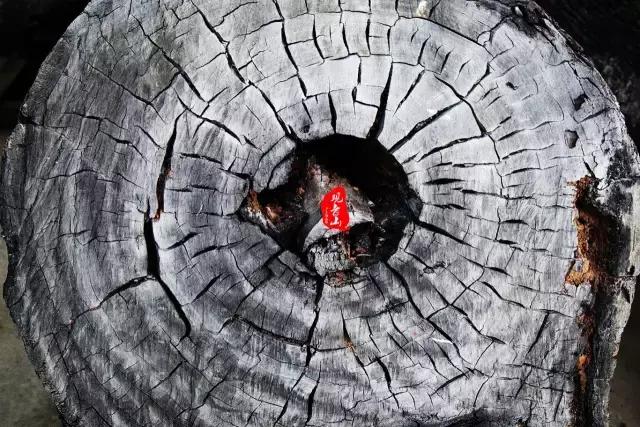 春色撩人,东莞美景等你来寻!