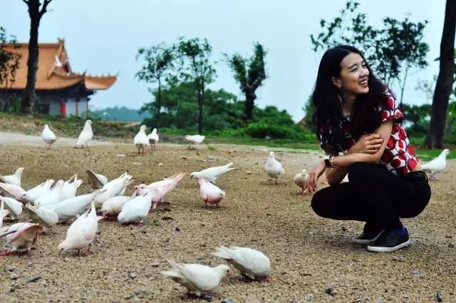 除了踏青赏花，在东莞还可以做这些有情调的事儿
