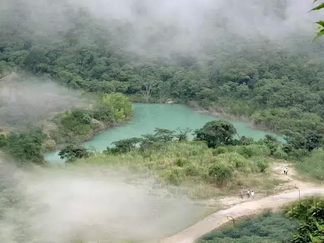 春色撩人,东莞美景等你来寻!