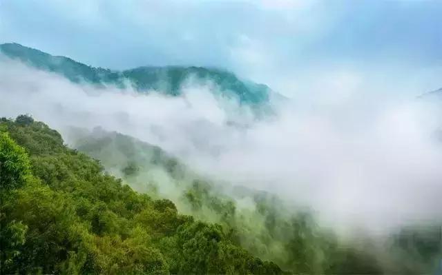 春色撩人,东莞美景等你来寻!