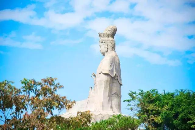 除了踏青赏花，在东莞还可以做这些有情调的事儿