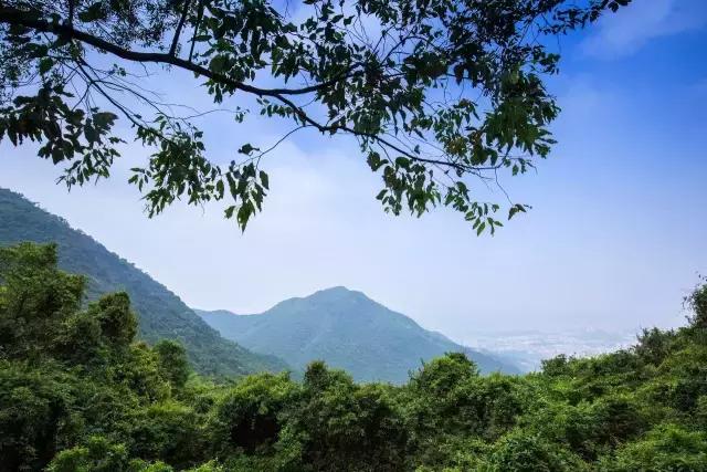 除了踏青赏花，在东莞还可以做这些有情调的事儿