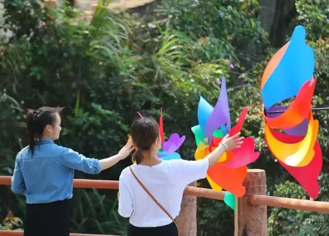 清明踏青趣,春风暖人心,最美东莞伴您行