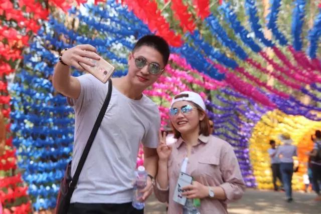 清明踏青趣,春风暖人心,最美东莞伴您行