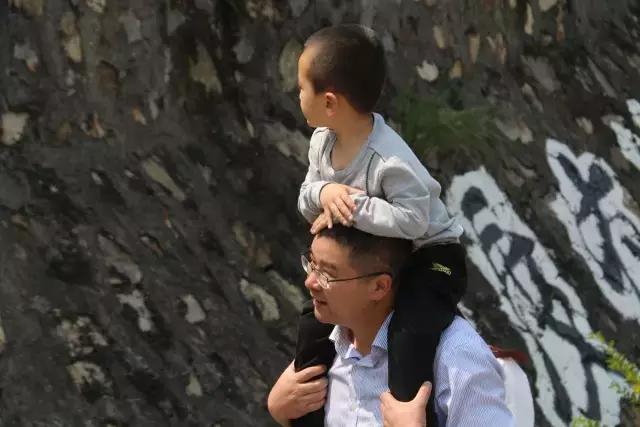 清明踏青趣,春风暖人心,最美东莞伴您行