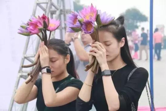 清明踏青趣,春风暖人心,最美东莞伴您行