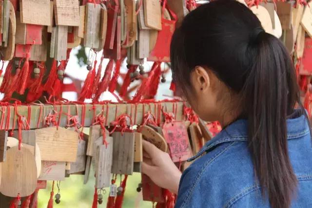 清明踏青趣,春风暖人心,最美东莞伴您行