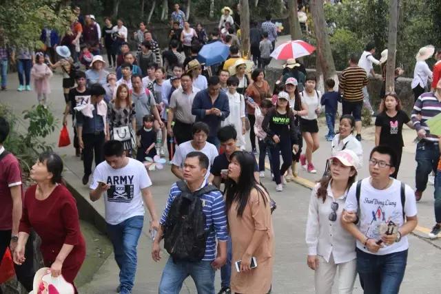 清明踏青趣,春风暖人心,最美东莞伴您行