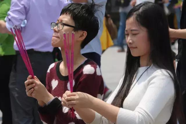 清明踏青趣,春风暖人心,最美东莞伴您行