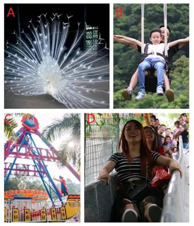 这里有一份史上最简单的高考试卷，敢不敢来测测？