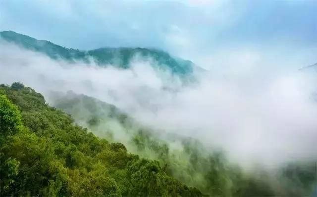 这里有一份史上最简单的高考试卷，敢不敢来测测？