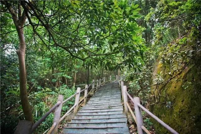 这里有一份史上最简单的高考试卷，敢不敢来测测？