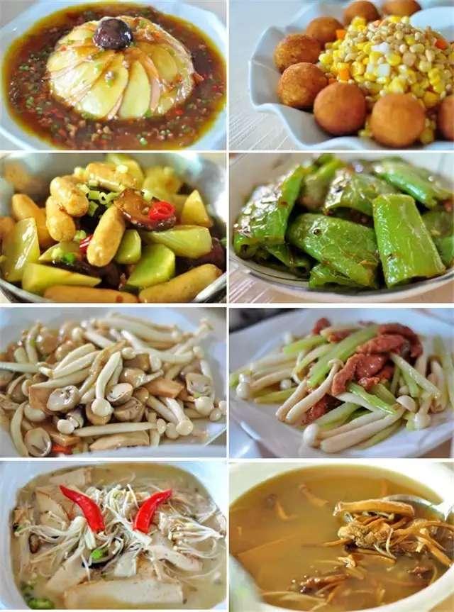 7月避暑,在绿色“海洋”里独享夏日清凉