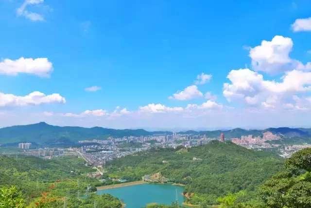 7月避暑,在绿色“海洋”里独享夏日清凉