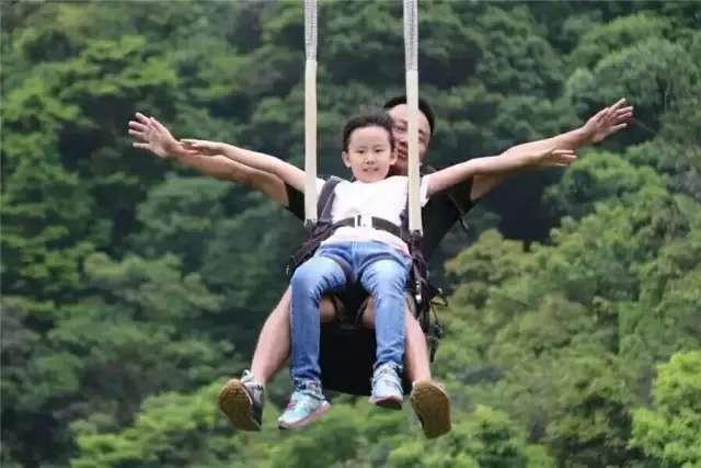 7月避暑,在绿色“海洋”里独享夏日清凉