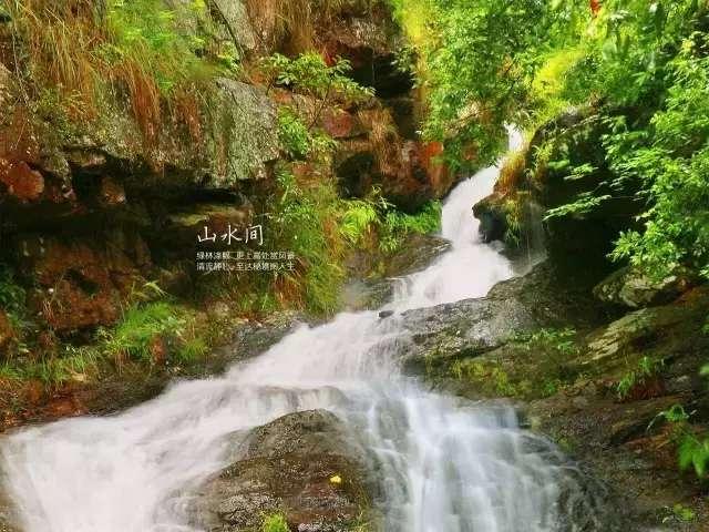 7月避暑,在绿色“海洋”里独享夏日清凉