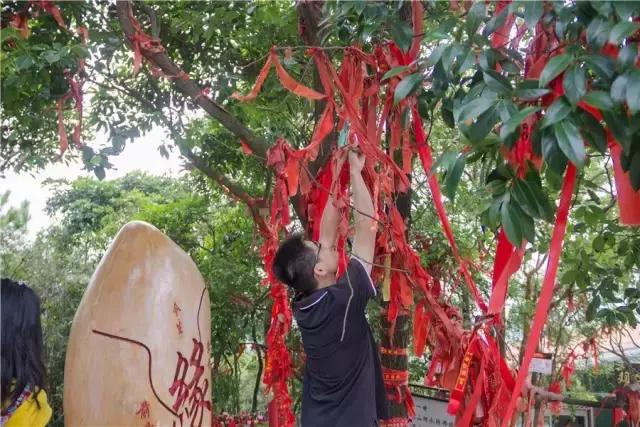 实拍,帅哥美女齐聚观音山追爱求脱单