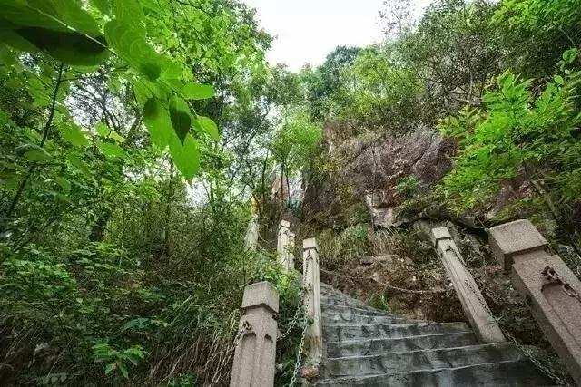 东莞竟藏着一个“天然氧吧”,找个时间“洗肺”去