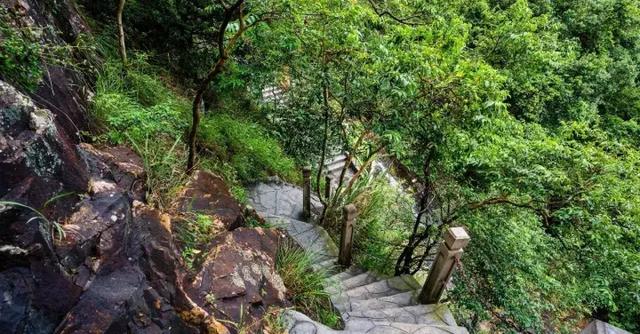 东莞竟藏着一个“天然氧吧”,找个时间“洗肺”去