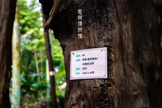 重阳节来了，请收下这份登高祈福最全攻略