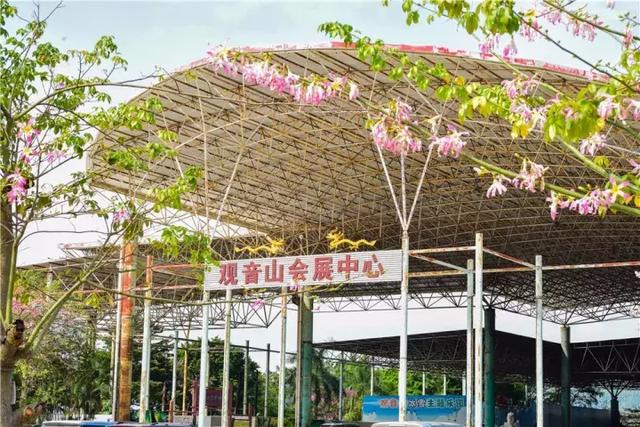 你在北国看漫天雪花，我在南国赏繁花似锦