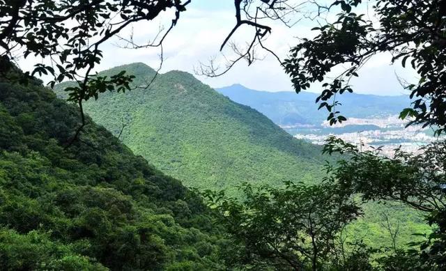 壕气，东莞观音山请全国人民来吸氧