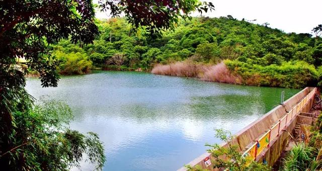 壕气，东莞观音山请全国人民来吸氧