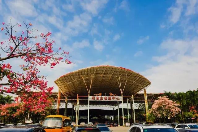 壕气，东莞观音山请全国人民来吸氧