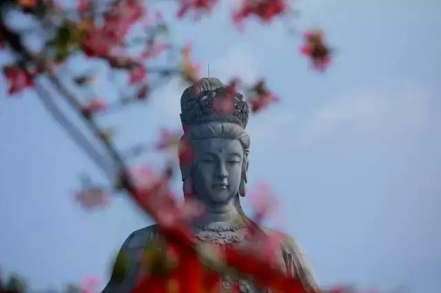 壕气，东莞观音山请全国人民来吸氧