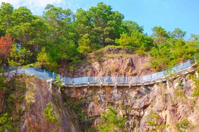 东莞观音山建园18周年庆,厉害了,我的山