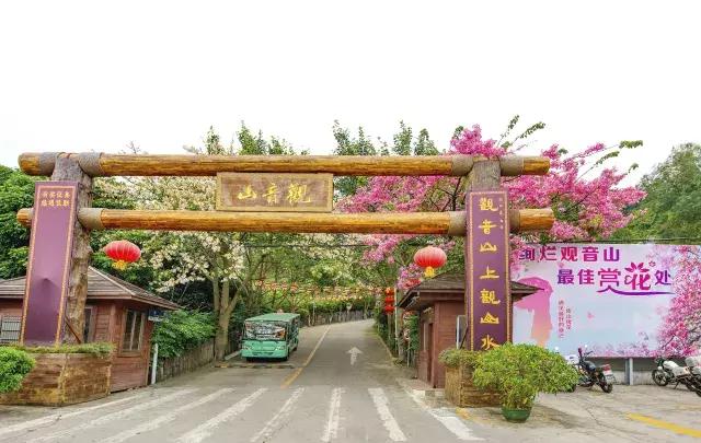 东莞何等美景？惹得“小仙女”下凡尘……
