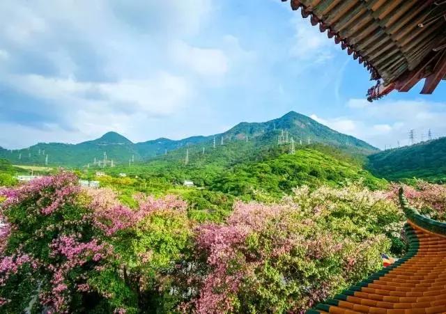 东莞观音山新春祈福，来一场说走就走的旅行