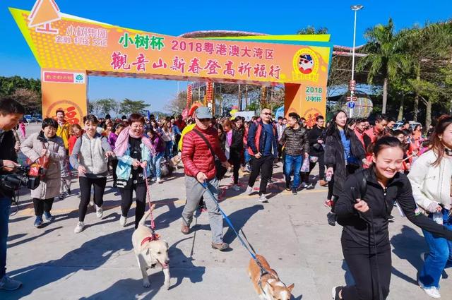 萌犬秀+登高祈福 东莞观音山2018年玩大了