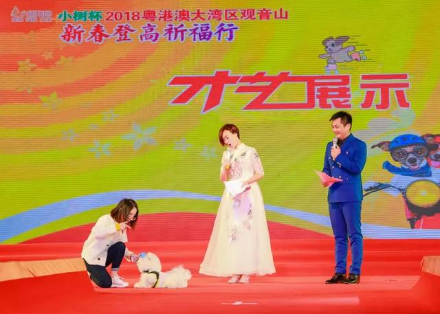 萌犬秀+登高祈福 东莞观音山2018年玩大了