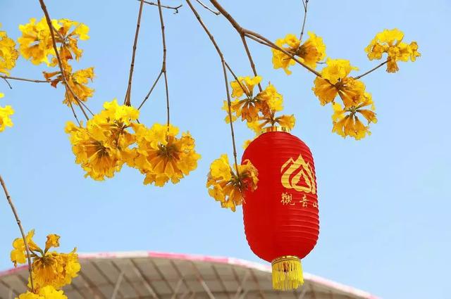 踏青攻略 祈福、赏花、观蝴蝶尽在东莞观音山