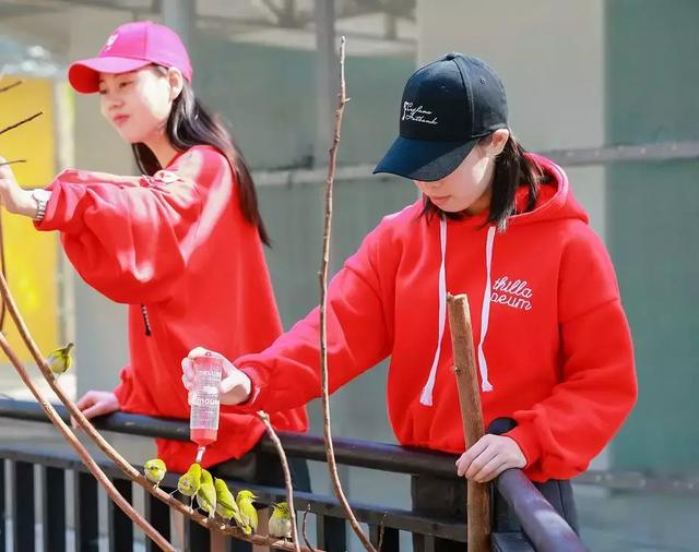 东莞观音山现巨型蝴蝶，引众游客围观