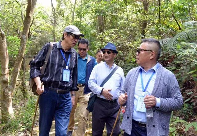 “品鉴岭南”走进观音山丨感受心灵与自然的双重安慰