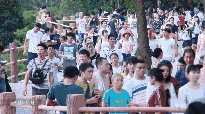 清净自心，第八届东莞观音山观音文化节即将开幕