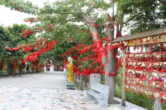 东莞观音山：秋景意渐浓，绚烂惹人醉