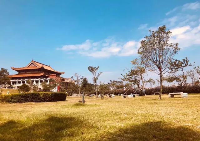 东莞观音山：秋景意渐浓，绚烂惹人醉