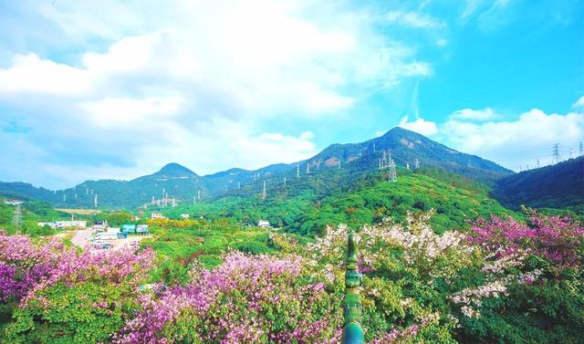 搭乘“末班车” 东莞观音山邀你邂逅最美秋景