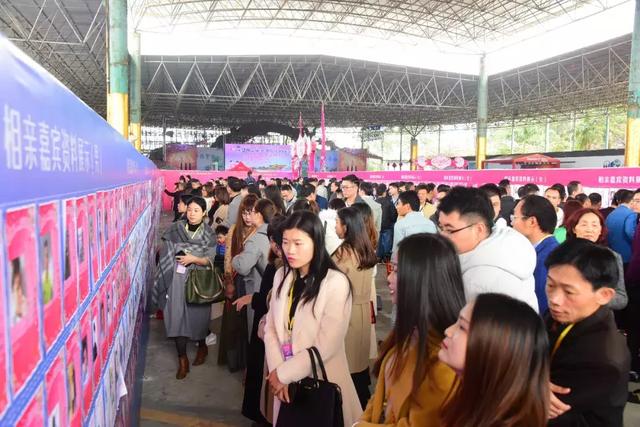 粤港澳单身男女年底脱单大作战，156对情定观音山