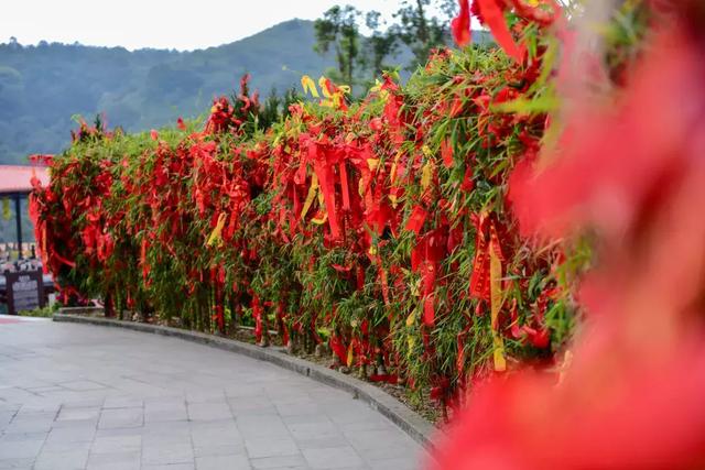直击东莞，这个春节观音山就是不一样