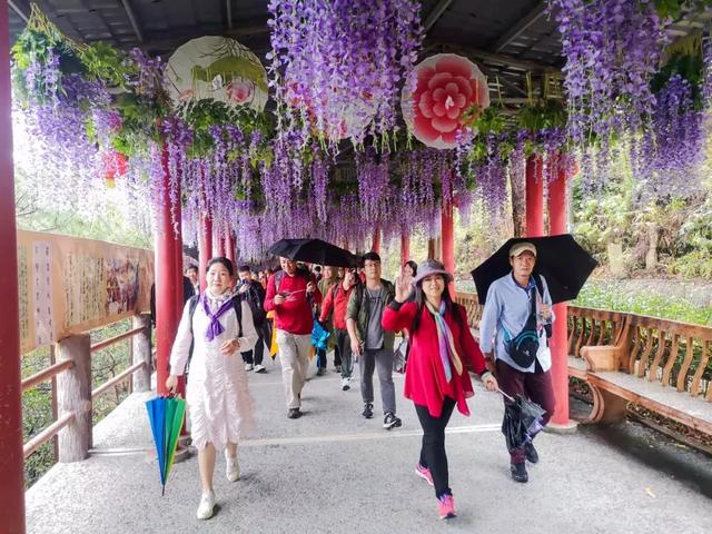 周末东莞踏春登高巧遇彩虹雨，遇水发发发