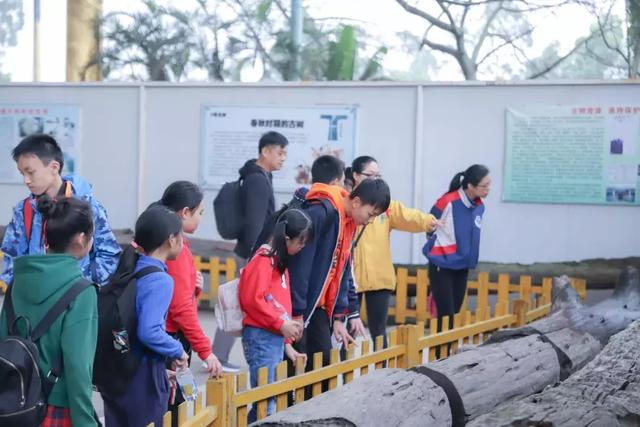 植心树，带上孩子来观音山赴一场成长之旅