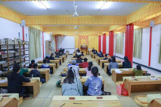 植心树，带上孩子来观音山赴一场成长之旅