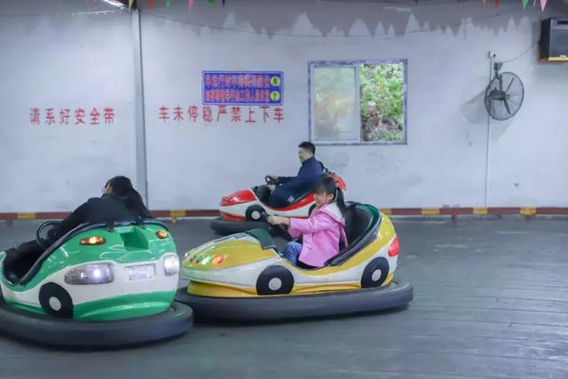 植心树，带上孩子来观音山赴一场成长之旅