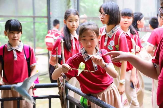 520表白日，来东莞这里让旅行与浪漫沸腾一下